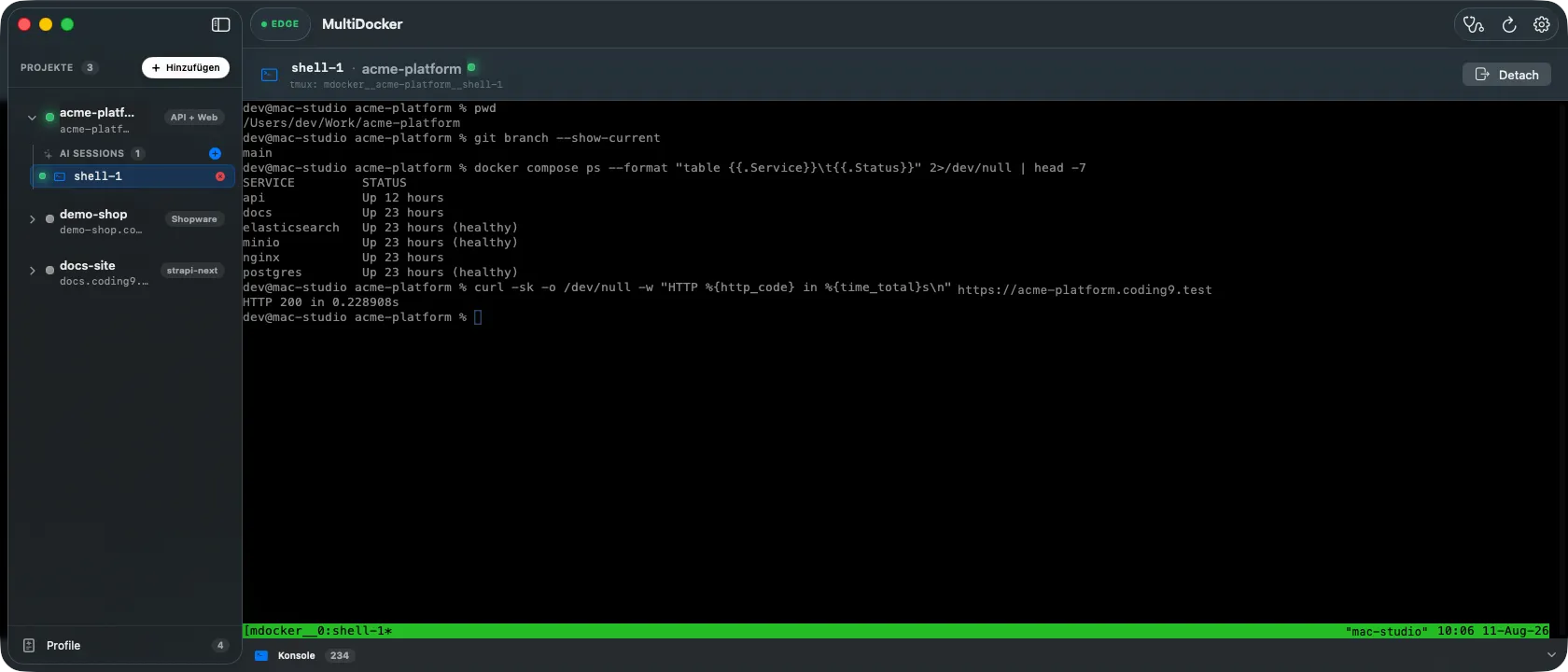 An attached shell session in the MultiDocker window: the sidebar shows the project expanded to its AI sessions, and the terminal runs in the project directory with the tmux status bar at the bottom.
